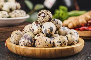 12  Pansy Collection Coturnix Quail Eggs - Etsy