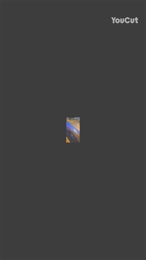 DaMovement 🫡 | DaMovement Arizona