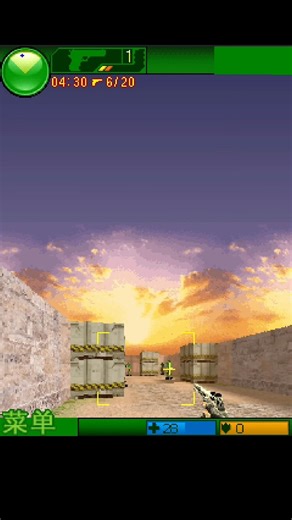 Counter Strike Java Game.