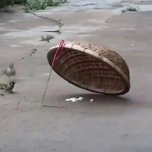 ❤️ | Lin Cortés