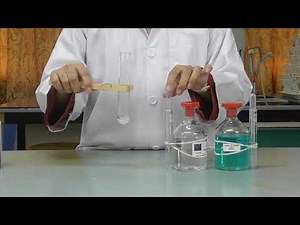 EXPERIMENT 1 DK024 | QUALITATIVE ANALYSIS OF ORGANIC COMPOUNDS