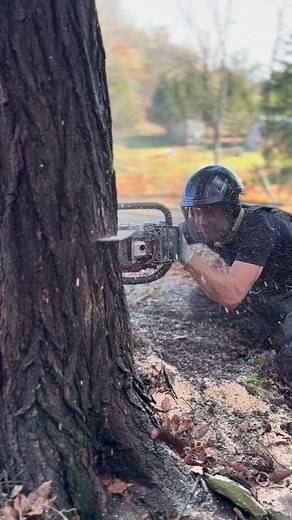 Volume up 🔊 Ported Husqvarna 572 with Signature Series exhaust | Ripsaw USA