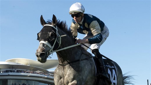 2025 Melbourne Cup Form Facts | Racenet