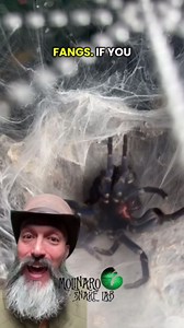 Check out my tarantula molting!