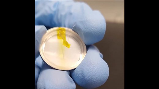 扣式三电极电池组装教程