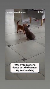 How you like me now 😁😊😂😂 #everyone | Rikki Cline