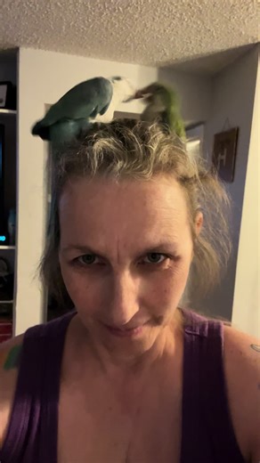 My Crazy Quaker Parrots: Discover Their Fun Personality