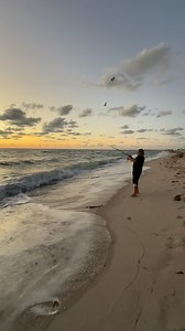 Archie almost died after being viciously slapped by a jack fish. 🤭 #Greatdane #danesofinstagram #dogs #dogsofinstagram #pets #petsofinstagram #gr8danearchie #dogmom #danemom #greatdaneproblem #greatdanelife #dogdaily #dogvideos #funnydogvideos #dogreels #giantdoglife #giantdogproblems #miamibeach #miami #beachlife #deutschedogge | Archie the Great Dane