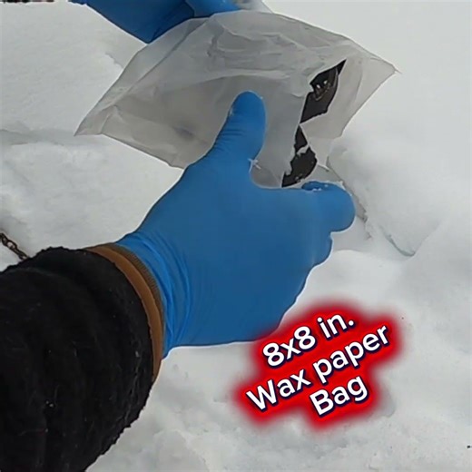 Advanced Deep Snow Trapping “Tip Of The Day “ #Coyotes #DukeTraps #HowToTrap￼#WinterTrapping #