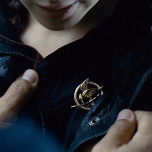 47K views · 1.1K reactions | And just like that, a mockingjay was born. #HungerGames | The Hunger Games | Facebook