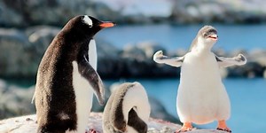 Mass extinction: our fossil study reveals which species are at risk from climate change