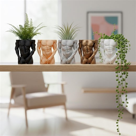 3D Printed Male Torso Planter - Greek God Body Vase, Nude Man Statue Pot for Plants, Funny Plant Lover Gift, Gay Art Desk Organizer - Etsy Australia