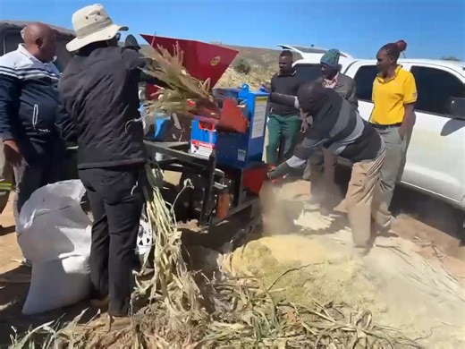 Namibia Daily News on Reels | Facebook