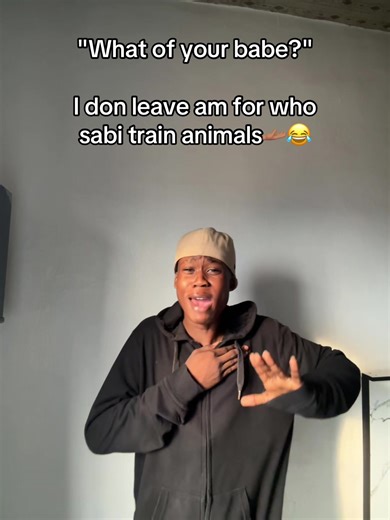 Training Animals: The Key to Happy Pets