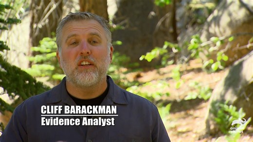 31K views · 187 reactions | The team travels to an unlikely sasquatch habitat, Southern California, where bigfoot reports have been churning out of the San Bernardino Mountains. Stream Finding Bigfoot on Discovery+ #AnimalPlanet #FindingBigfoot | Animal Planet | Facebook