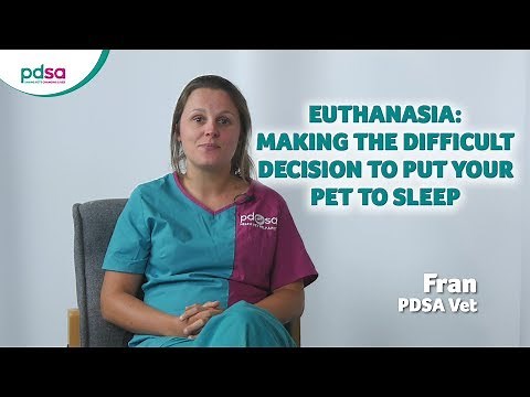 Euthanasia - Making The Difficult Decision To Put Your Pet To Sleep: PDSA Petwise Pet Health Hub