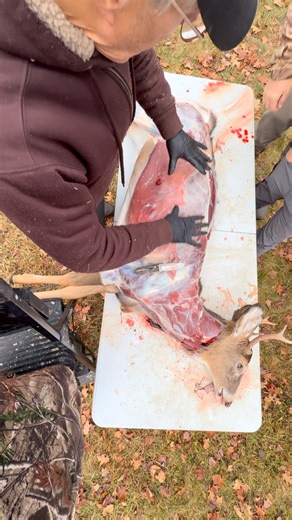 The Anatomy Hunter on Instagram: "Cutting and gutting a deer on its side#bowhunting #archery #hunting #anatomy #shotplacement #whitetail #hunt #hunt #reels #anatomyhunter #whitetaildeer #"