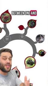 Explaining Common Ancestry #evolution #learning #science #ancestor #animals #biology #origins