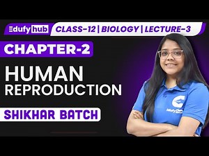 🧬Human Reproduction | Gametogenesis Explained | ISC Class 12 Bio | C-2 - L-1 | SHIKHAR ‪@Edufy_Hub‬