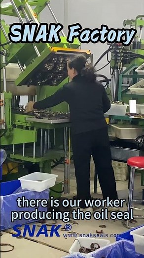 🔧 TG4 Oil Seal Manufacturing by SNAK Factory