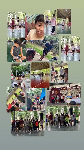 Henry Labrador on Reels