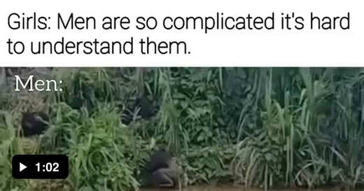 Return back to monke - Video