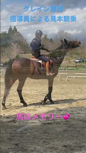 クレイン恵那、指導員による見本騎乗。その2.駈歩発進、初級編。皆んなで見て、勉強📖しよう❣️次回は駈歩発進、上級編だよ😊