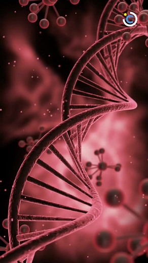 8.2K views · 135 reactions | Oldest DNA in the world breaks record by a million years | Curiosmos.com | Facebook