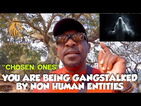 THE ENTITIES GANGSTALKING YOU ARE NON HUMAN‼️#chosen-ones