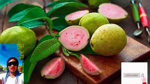 The many health benefits of guava that you should know Health ...