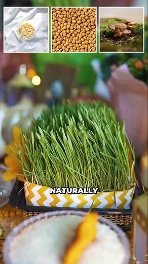 Discover the Best Vegetarian Sources of Vitamin B12