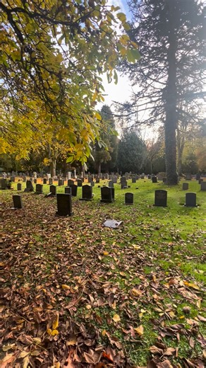 31 reactions · 47 comments | Samhain traditions include lighting...