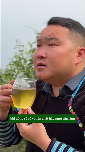Trà Shan Tuyết Cổ Thủ – Hương Vị Của Mùa Xuân Trong Từng Ngụm Trà | Thưởng Trà Thuần Việt