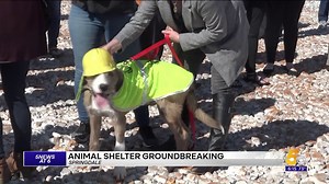 Groundbreaking Ceremony Held For New Springdale Animal Shelter