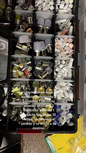 Car Bulbs Organization in Workshop Setting