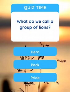 2.2K views · 17 reactions | ENGLISH QUIZ - COLLECTIVE NOUN | Franklin - Online LET, CSE, IELTS & Celpip Private Tutorial | Facebook