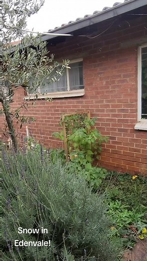 Not a lot of sleet but wow... it's freezing! #snowinjhb