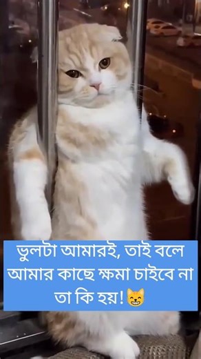 Relationship Maths 🤣 | CreativesNur #funnystatus #funny #vairalvideo #viral #vairalshort #cute #cat