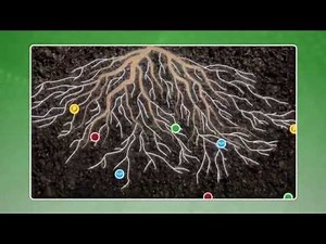 Mycogel | Organic Product, Agrocode