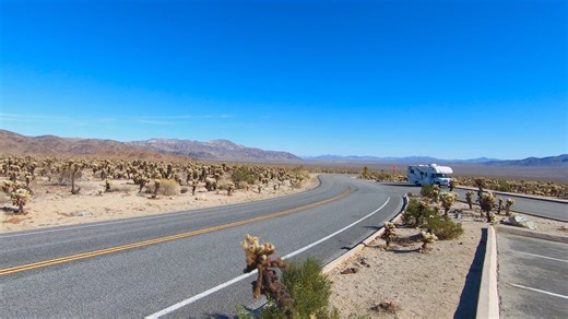 Cholla Cactus Garden, Pinto Basin Road, Joshua Tree National Park. Please note all photos, videos and reels on this page were taken by myself and my wife on our road trips in the USA and Canada. | Just Drive America