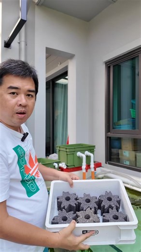 รีวิวกรองคอนโด YEE รุ่น Ultra-Silent Large Fish Tank Filter” หลังใช้งานจริง ต้องบอกว่าเป็นกรองที่ออกแบบมาใช้งานได้ดีมาก ใส่วัสดุกรองได้เยอะ รองรับการกรองทั้งกายภาพ เคมี และชีวภาพในตัวเดียว การดูแลทำได้ง่าย ถอดล้างแยกเป็นชั้นได้ | Thai Aquarium Center