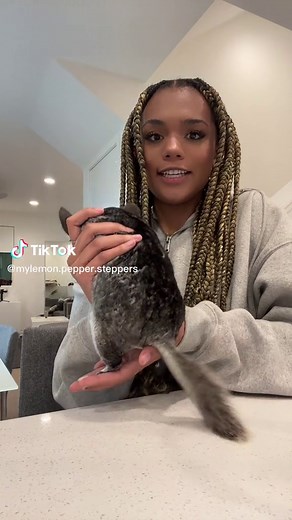 Caring for Your Pet Chinchilla: Tips and Techniques