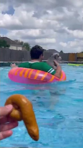 There’s Dog Poop In Our Pool 😱💩 #shorts