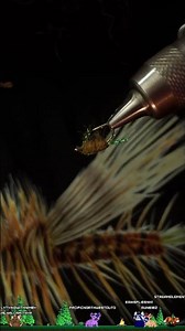 Fly Tying with Nimby! Flashback Scud Patterns, Techniques and Materials to catch more Trout.