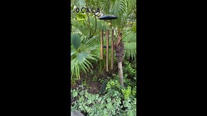 Watch Large Tuned Deep Tone Wind Chime With Aluminum Alloy Tubes on Amazon Live