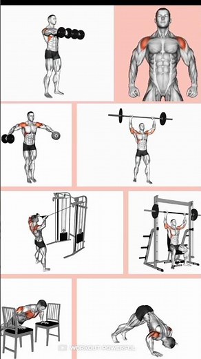 Apar and Back Workout: How to Build a Wider, Thicker Back