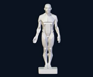 ArtStation - 3D Planes of the body | Resources