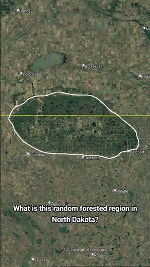 Why This RANDOM Forest Exists In North Dakota #geography
