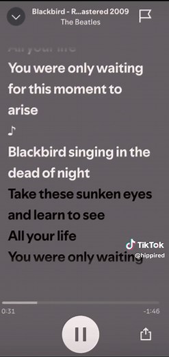 Blackbird: The Song and Its Meaning