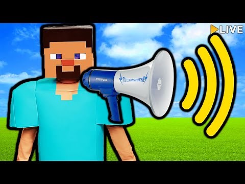 Minecraft With Voice Chat